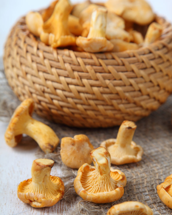 Chanterelles © Elena Blokhina shutterstock