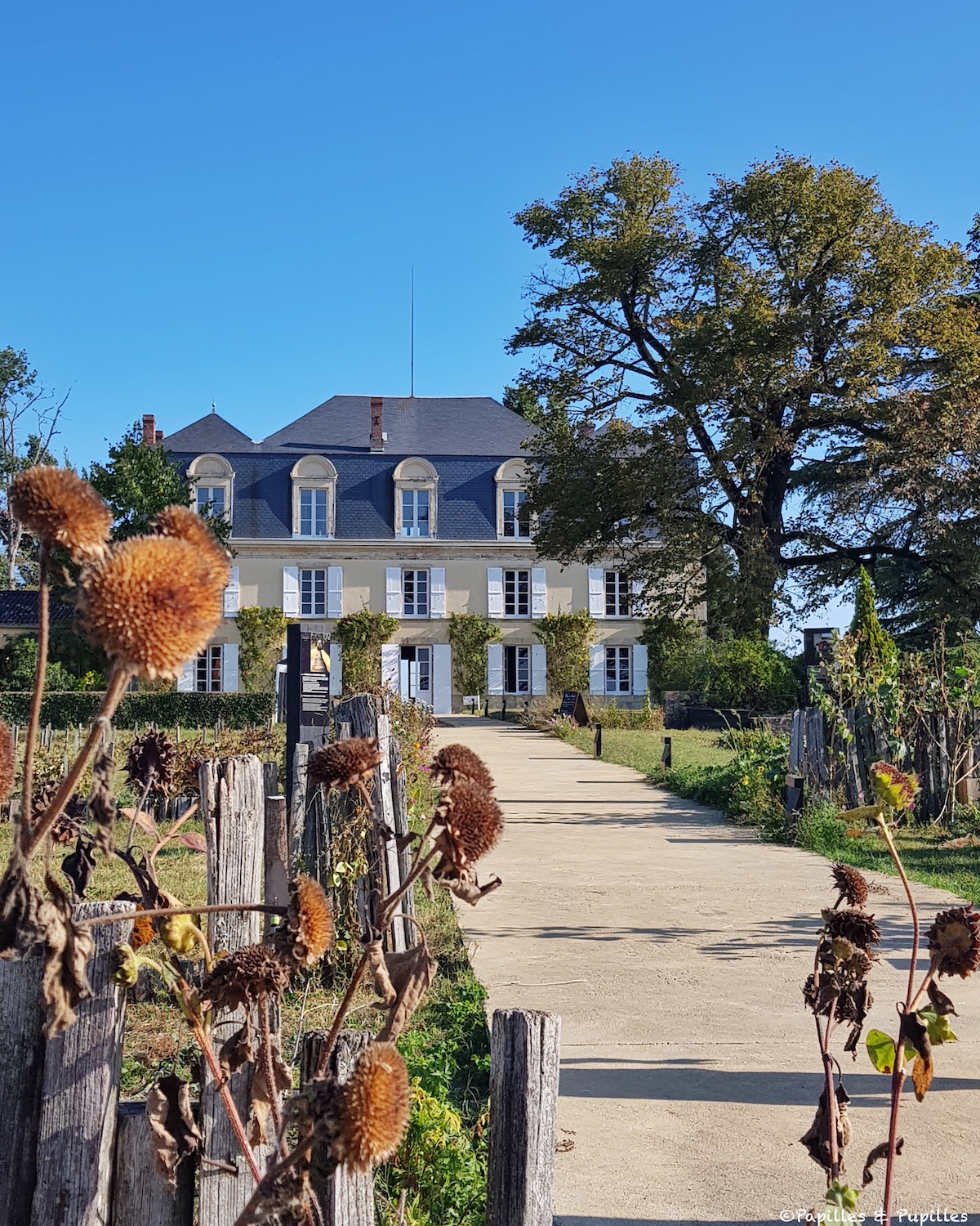 Une Journ e Ch teau Guiraud Sauternes une-journ-e-ch-teau-guiraud-sauternes