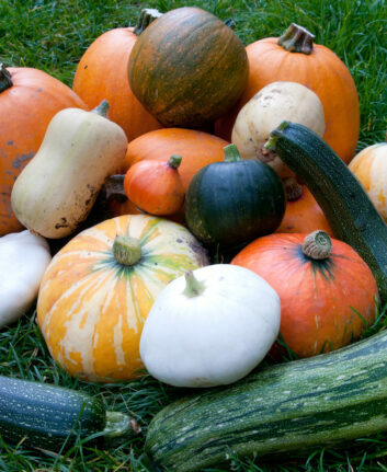 Courges ©Tony Austin CCBY2.0