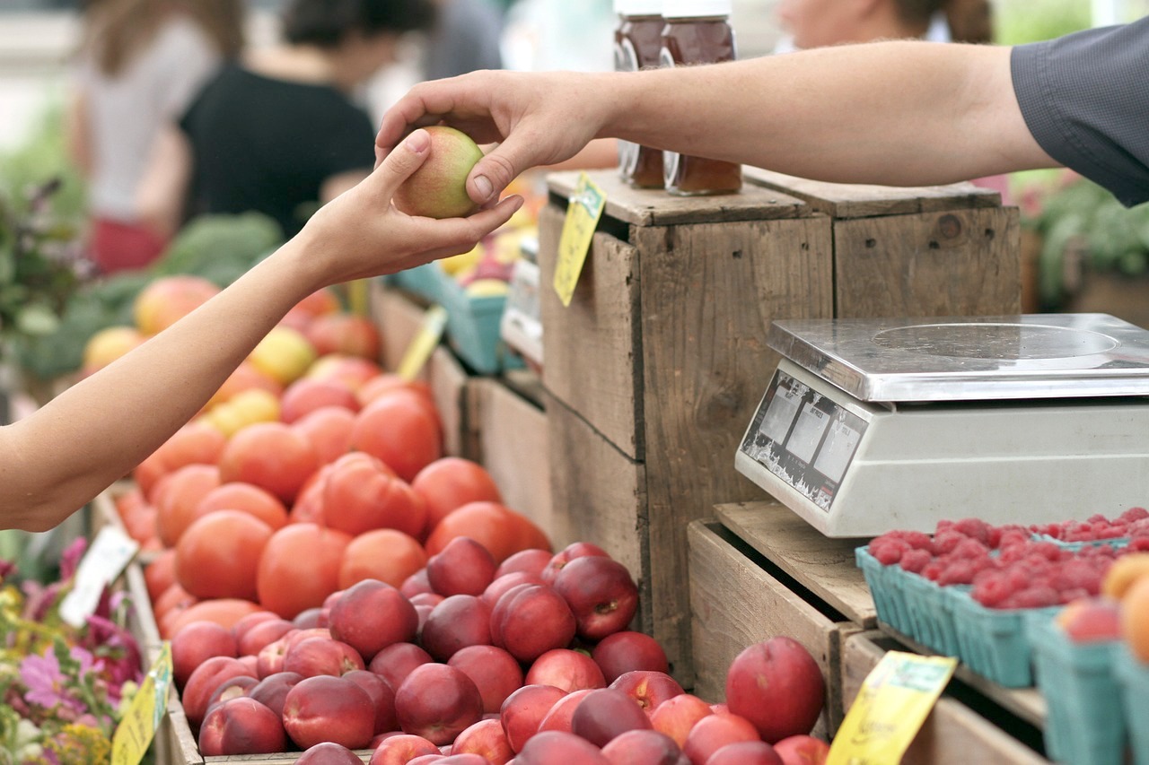 Faire ses cours ©Pexels CCO Pixabay