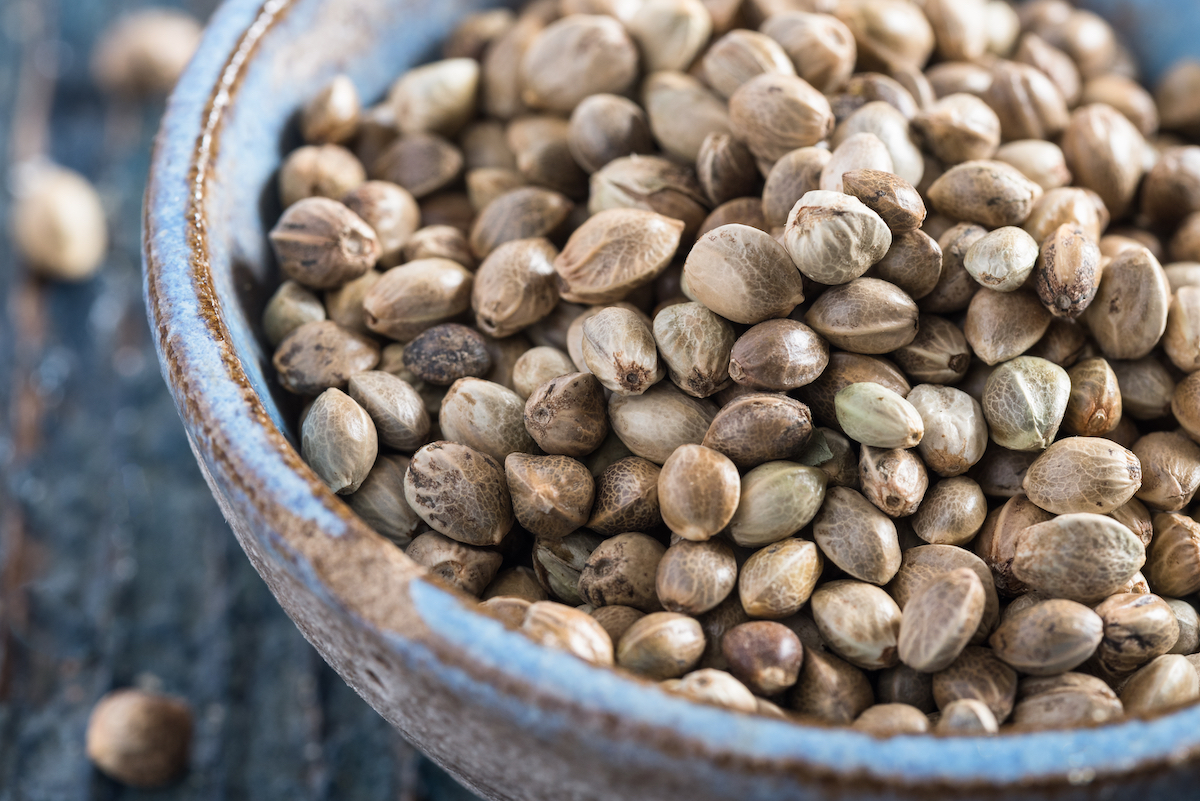 Graines de chanvre ©De Michelle Lee Photography shutterstock