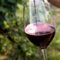 Lambrusco - Vin rouge pétillant italien ©Lambrusco DOP