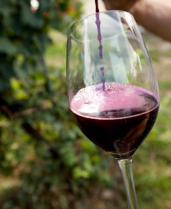 Lambrusco - Vin rouge pétillant italien ©Lambrusco DOP