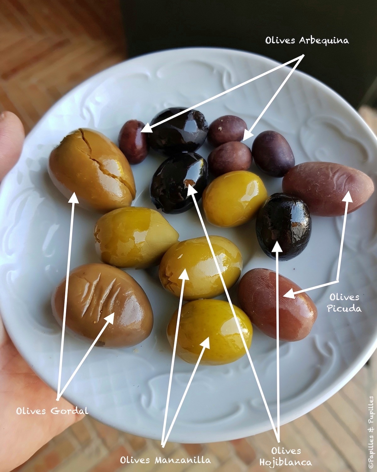 Les Différentes variétés d'olives