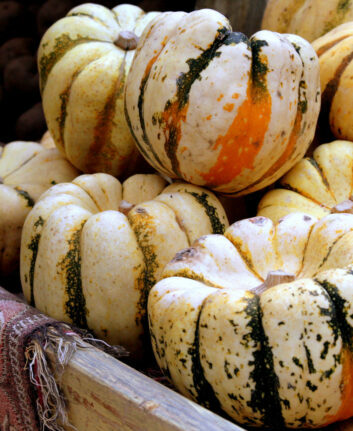 Patidou ©Larry CC BY-NC-ND 2.0
