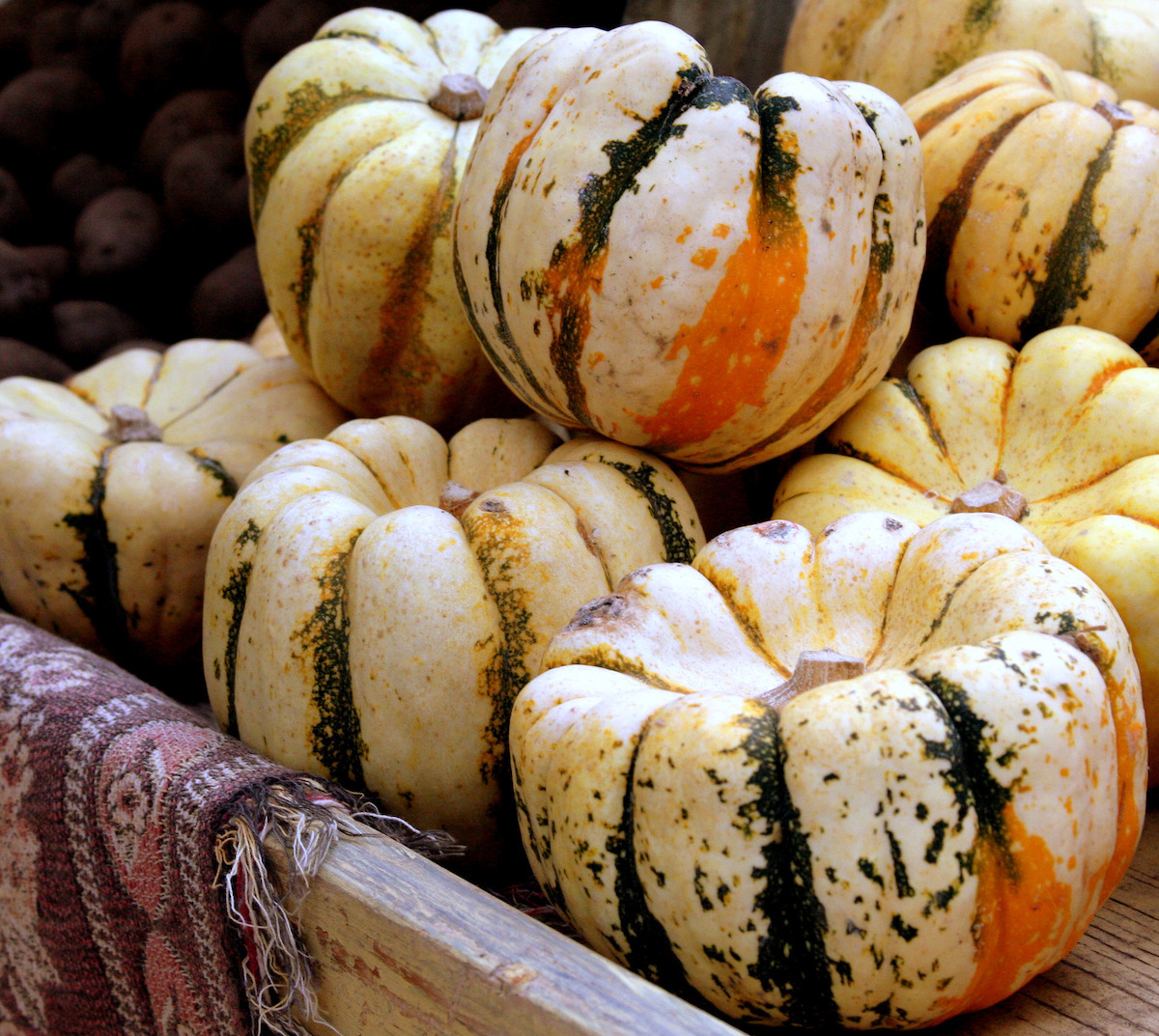 Patidou ©Larry CC BY-NC-ND 2.0