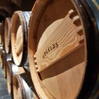 Tonneaux Château Angelus