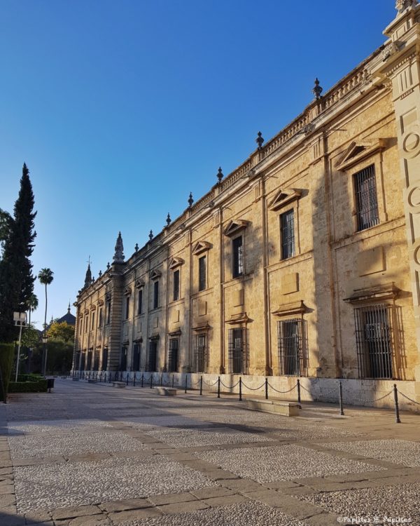 Université de Séville