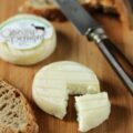 Cabécou du Périgord ©Fromages de chèvre