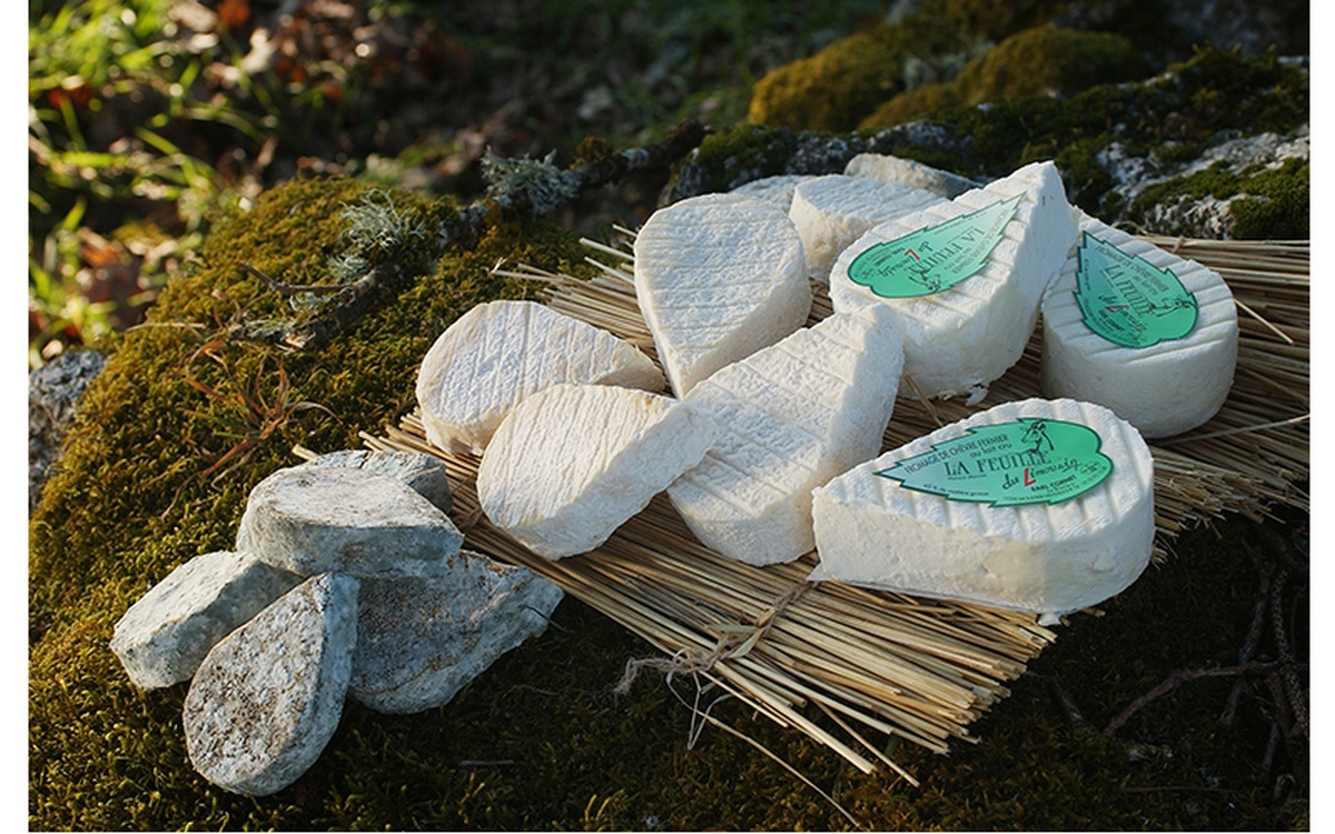 Feuilles du Limousin ©Fromages de chèvre