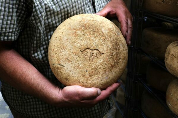 Fromage Ossau Iraty ©AOP Ossau Iraty