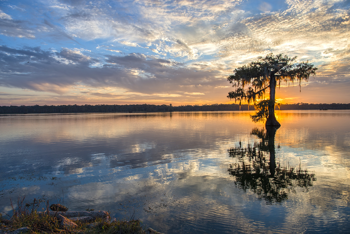 Louisiane © Bonnie Taylor Barry shutterstock