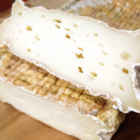 Quintano ©mondopaga.com