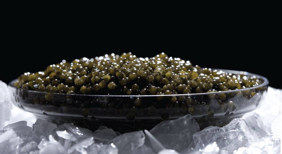 Caviar ©Akitania 