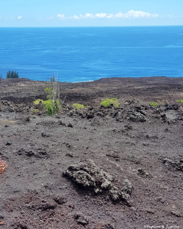 La coulée se jette dans la mer
