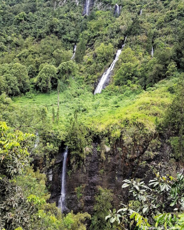 Le voile de la mariée
