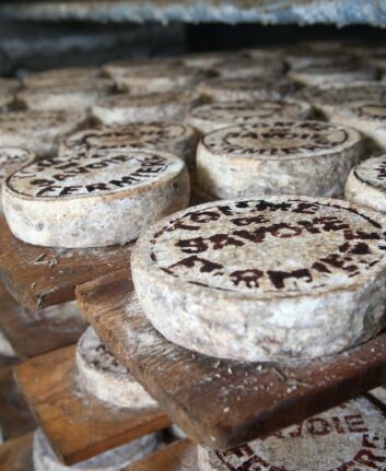 Tomme de Savoie ©agence-producteurs-locaux-damien-kuhn-unsplash