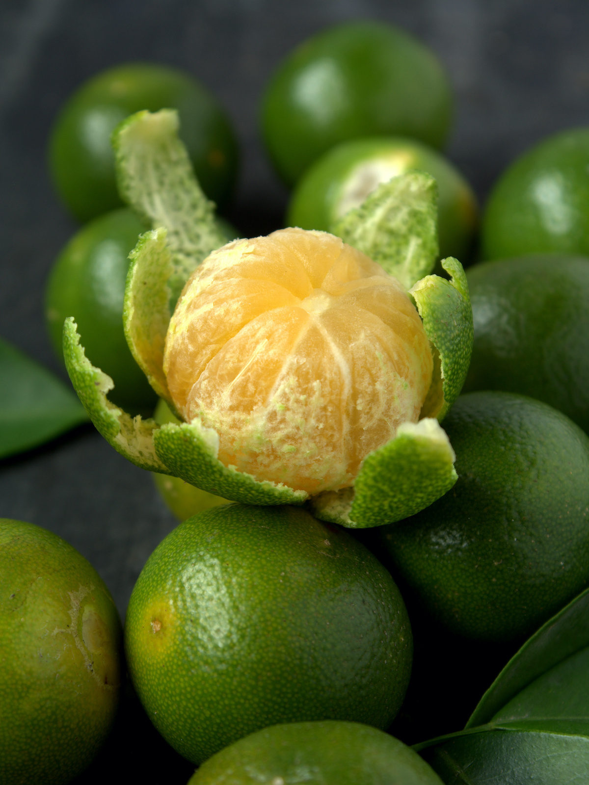 Calamansi frais coupés, petit agrume philippin orange et vert