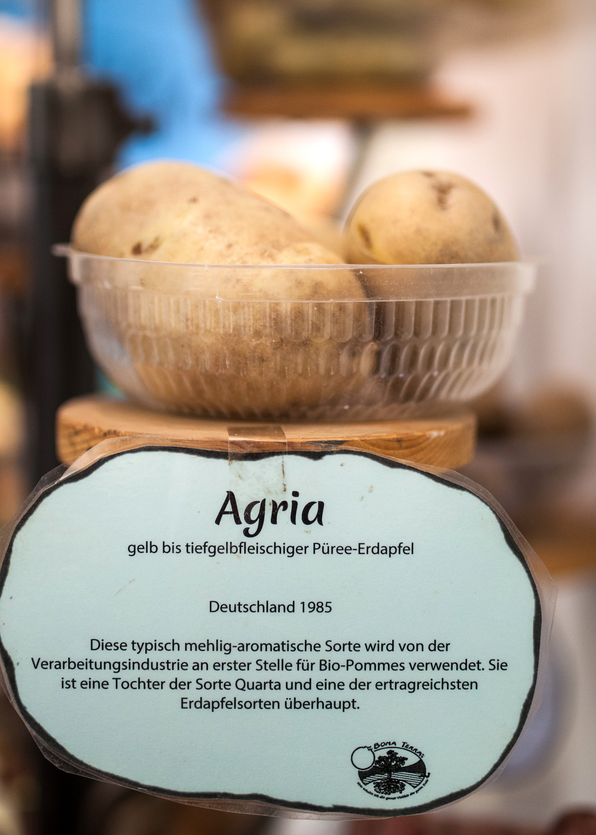 Pommes de terre Agria