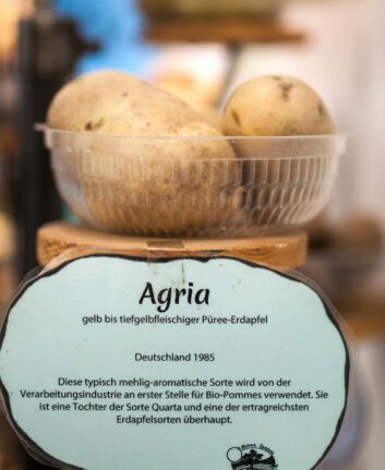 Pommes de terre Agria