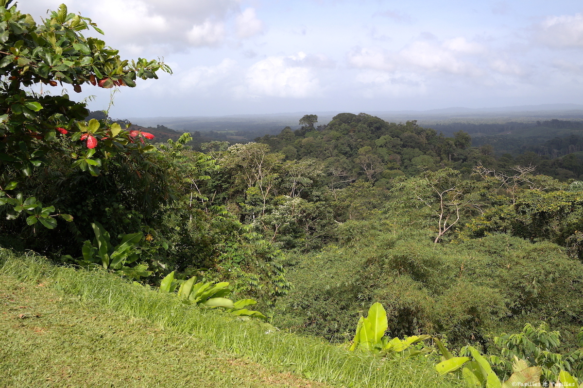 Sur la route de Cayenne à Cacao