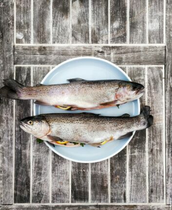 Poissons ©gregor-moser unsplash