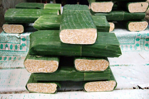 Tempeh frais ©Par Sakurai Midori —CC BY-SA 3.0