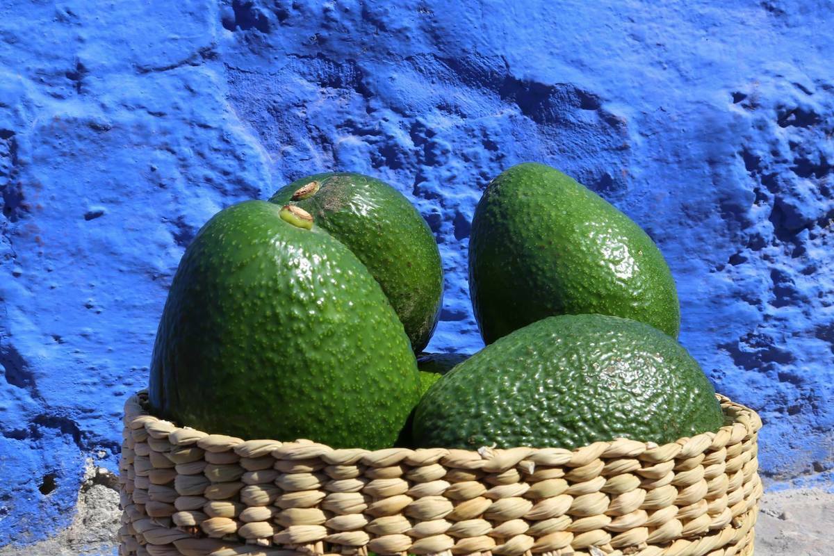 Avocats ©Avocados from peru