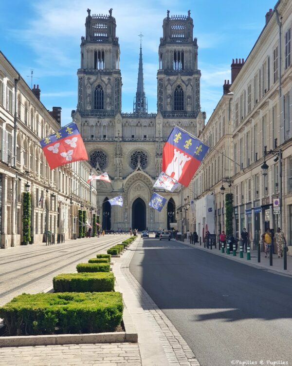 Cathédrale d'Orléans