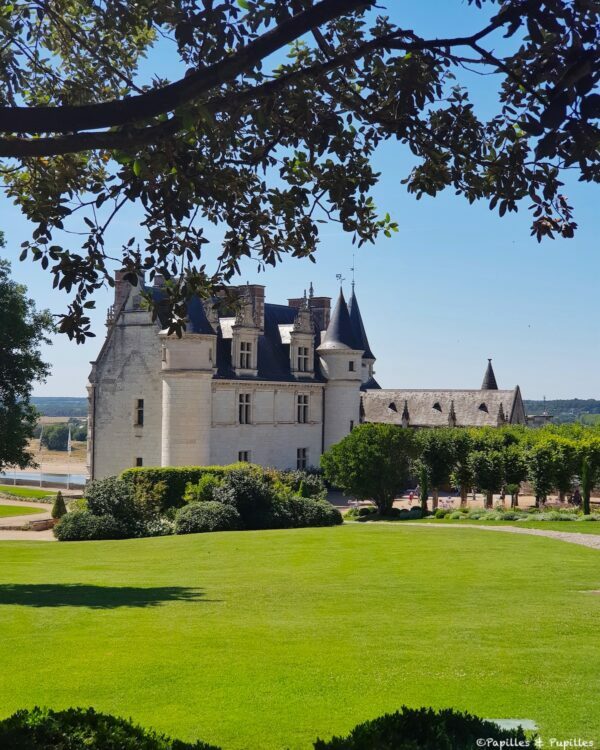 Château d'Amboise