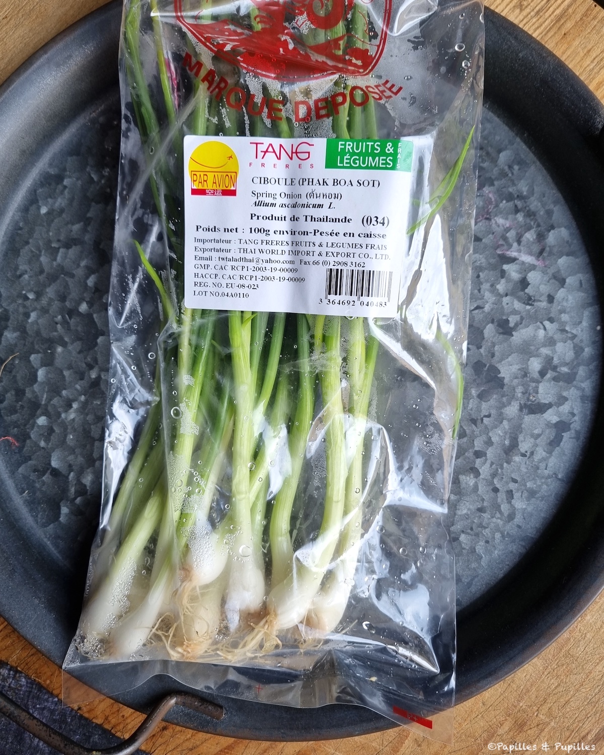 Ciboule (allium ascalonicum)