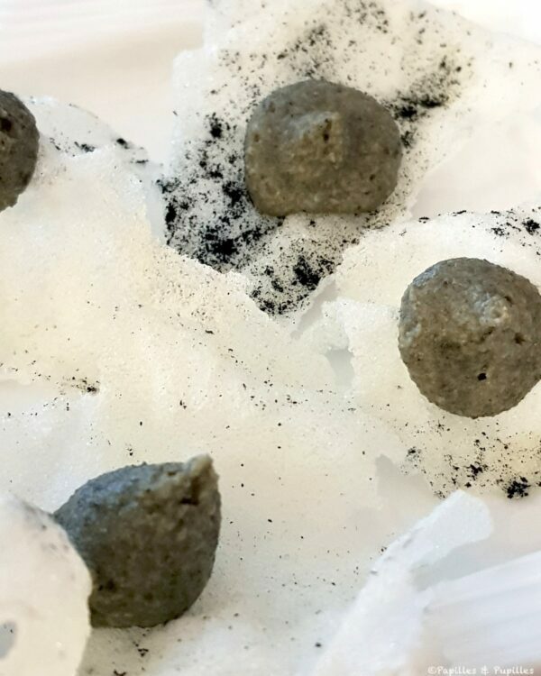 Chips de riz et houmous au curry Blackpearl