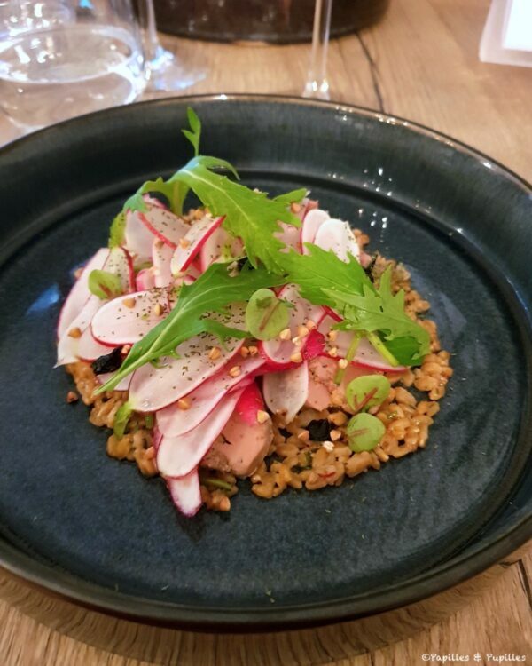 Petit épeautre, radis, estragon, roquette, foie gras