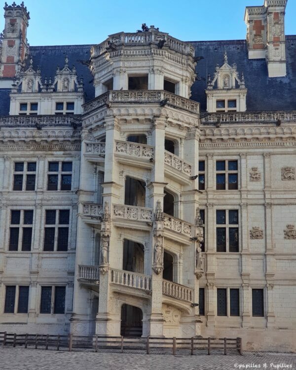 Escalier - Château royal de Blois