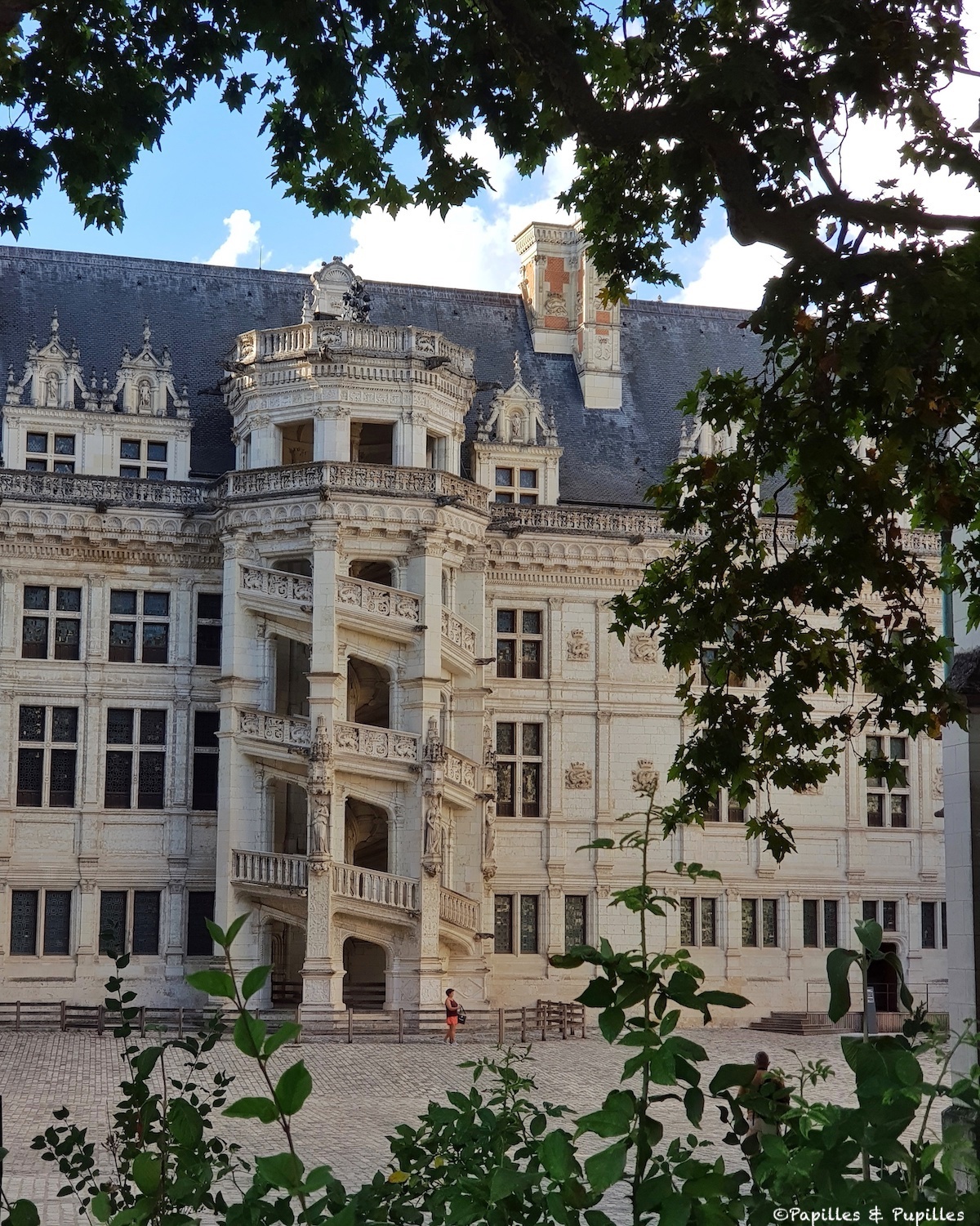 Escalier - Château Royal de Blois