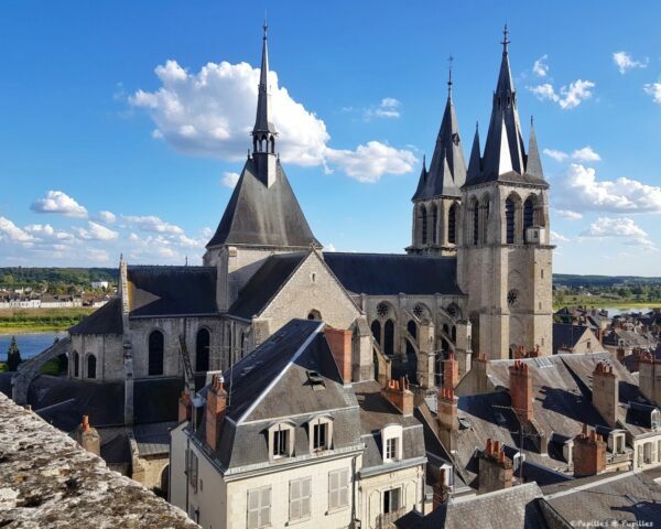 Vue sur la ville depuis le Château Royal de Blois
