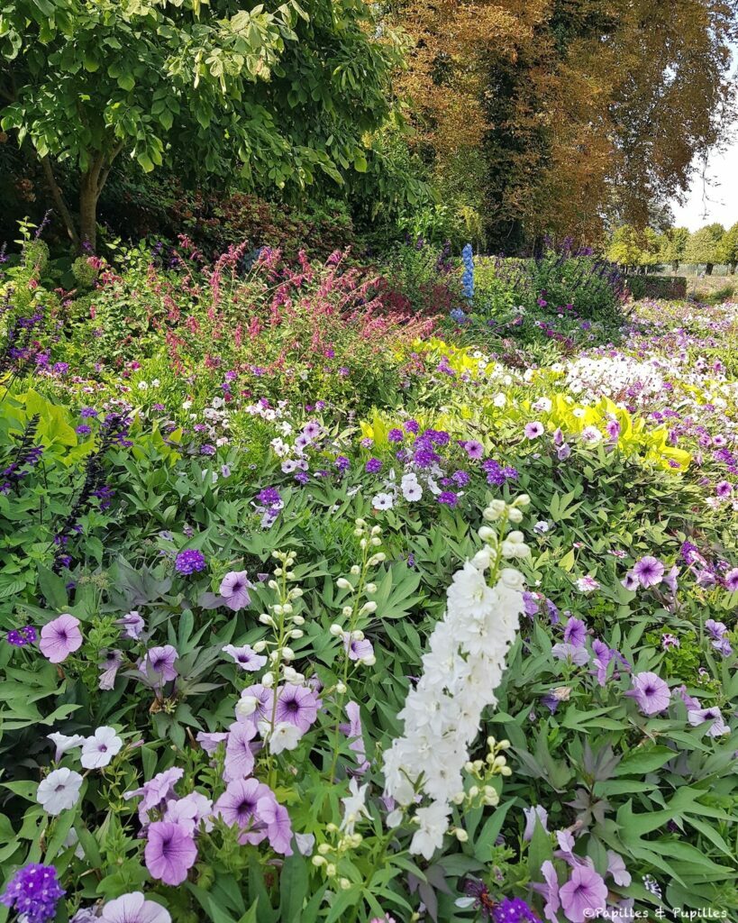 Château de Chaumont