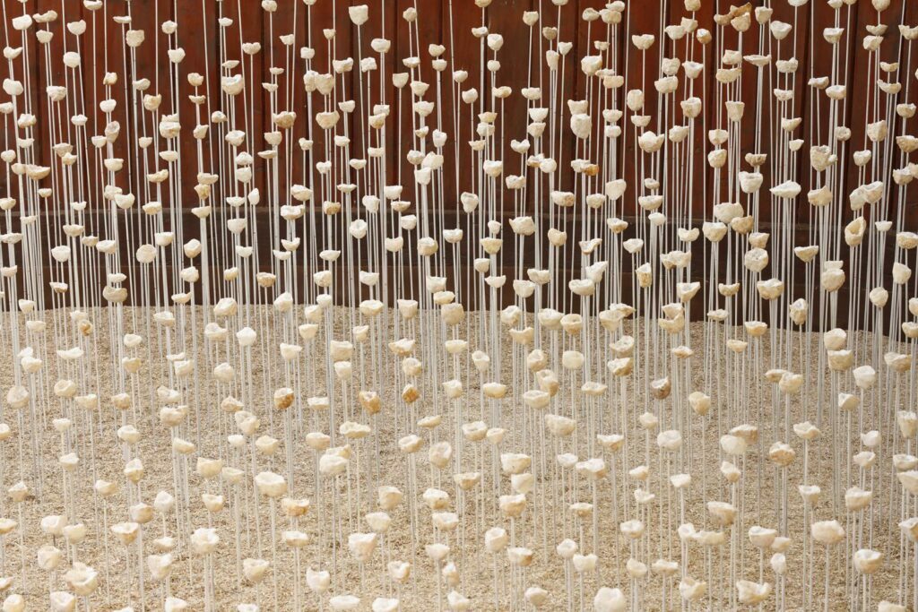 Le nid des murmures ©Eric Sander