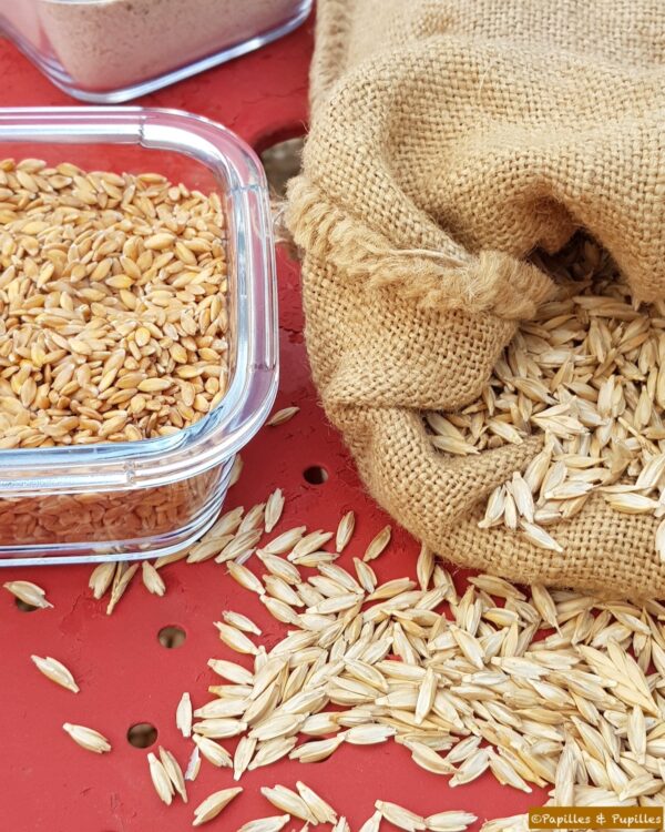 Petit épeautre vêtu et dévêtu