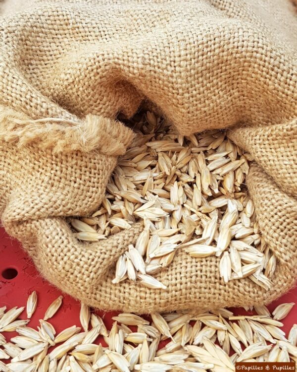 Petit épeautre vêtu