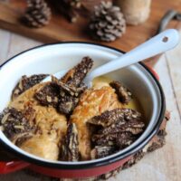 Suprêmes de volaille à la crème et aux morilles