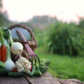 Légumes du jardin
