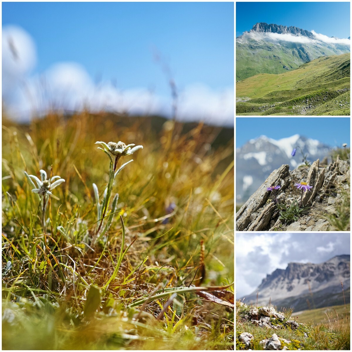 Parc National de la Vanoise © PIerre_BN CC BY 2.0