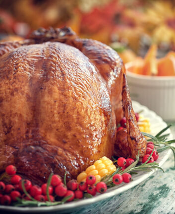 Dinde © circlePS shutterstock