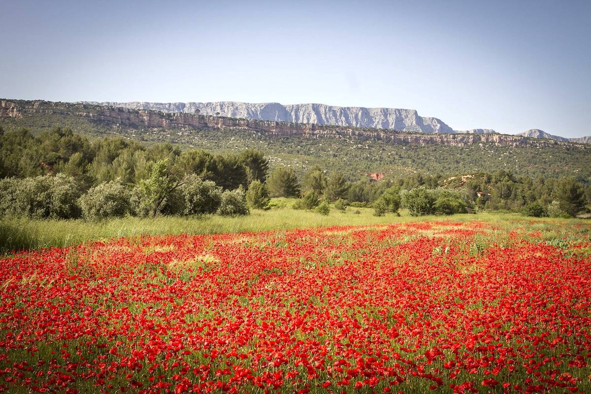 Sainte Victoire ©My Provence