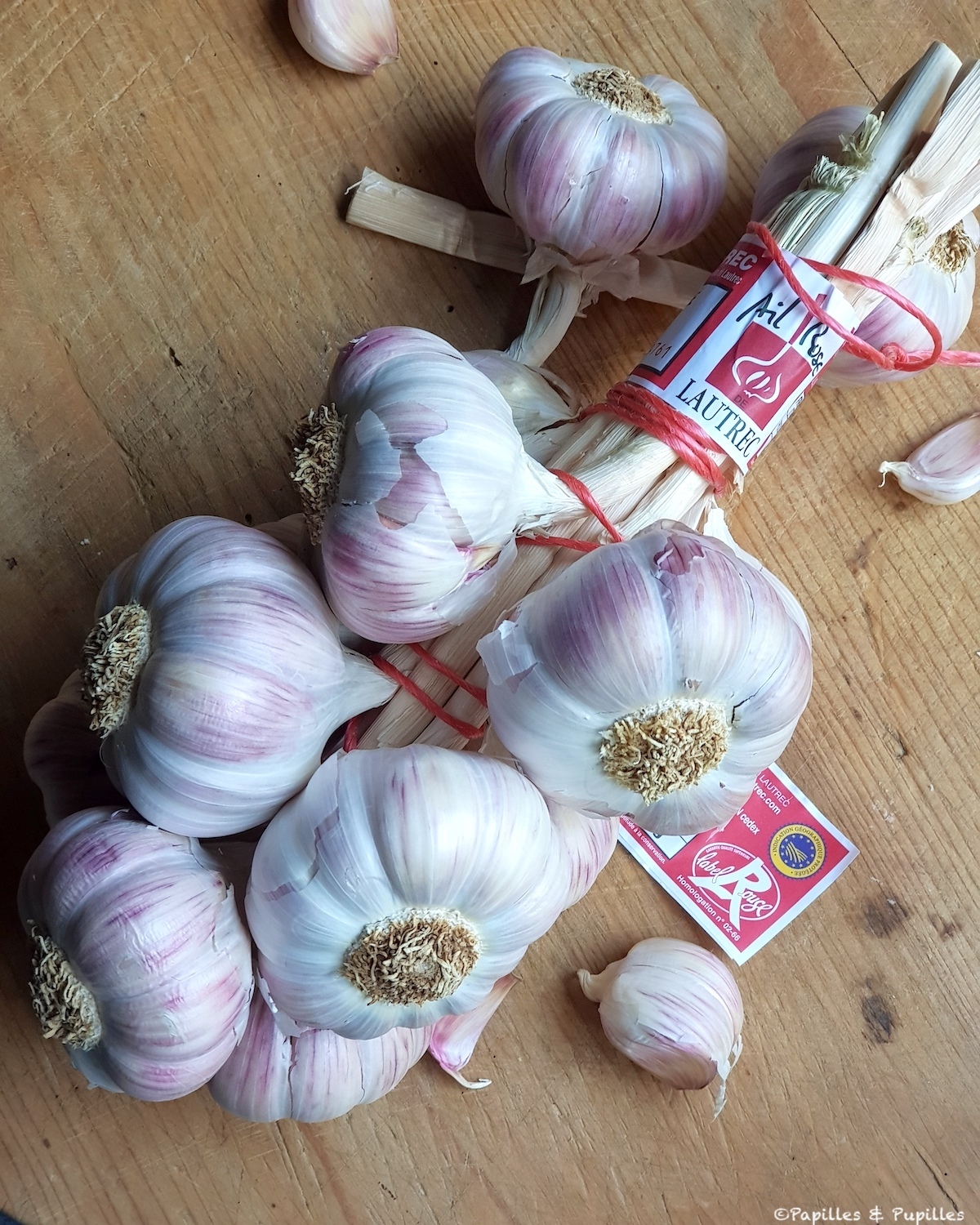 Ail rose de Lautrec