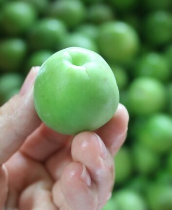 Prune lavée et égouttée ©딸기맘양갱이 CC BY 2.5