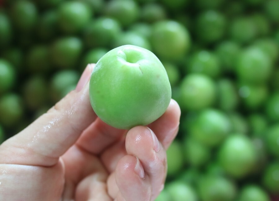 Prune lavée et égouttée ©딸기맘양갱이 CC BY 2.5