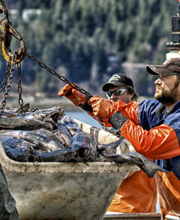 Southeast Alaska by Gillfoto