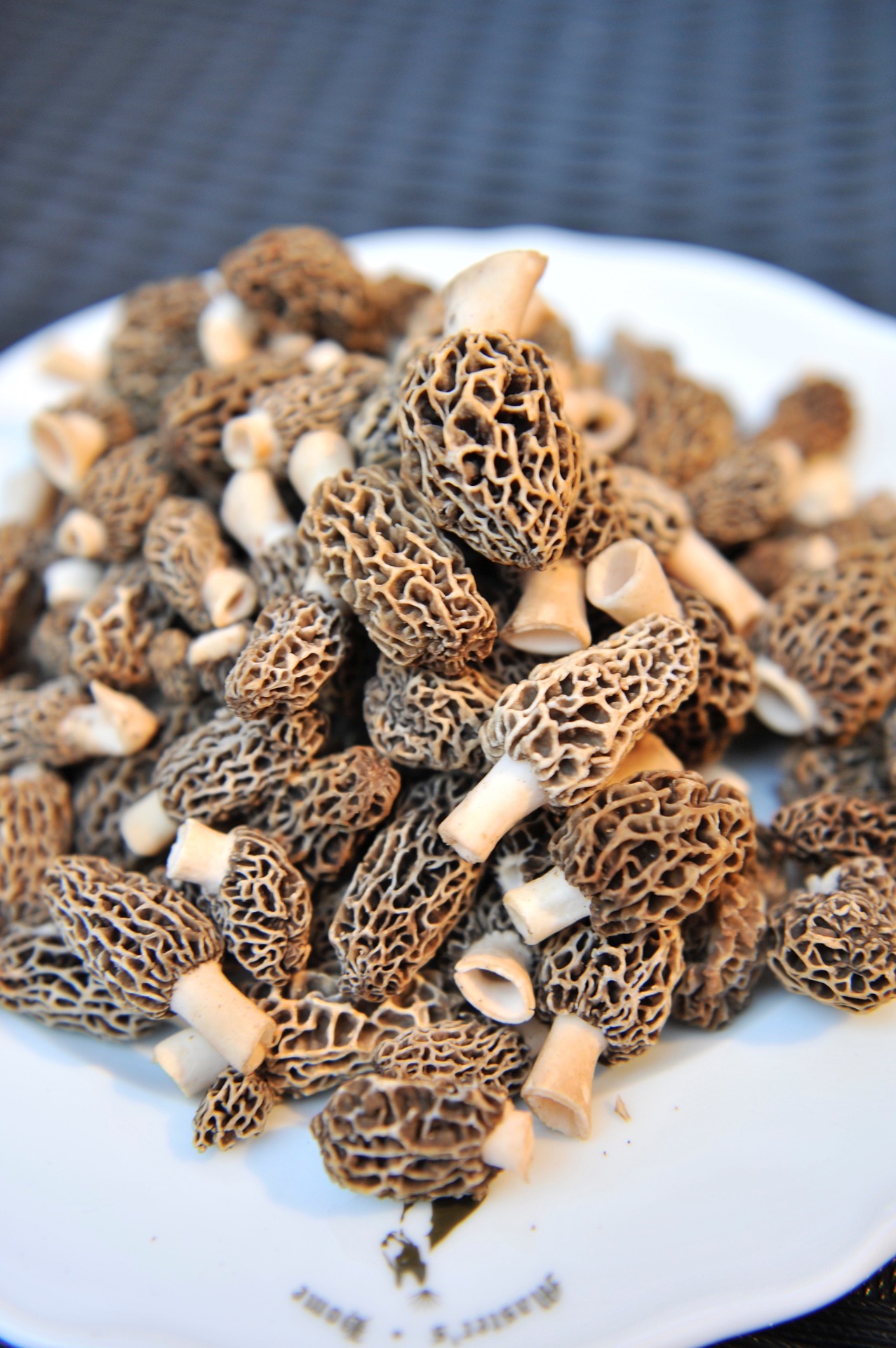 Morilles séchées et fraîches, parfum boisé et texture alvéolée